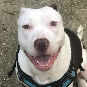 Meet your Posher, Tammy